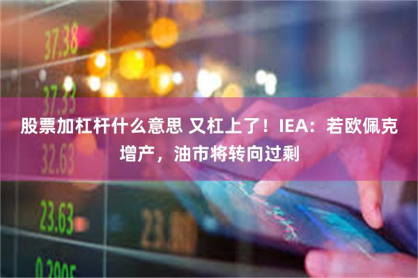 股票加杠杆什么意思 又杠上了！IEA：若欧佩克增产，油市将转