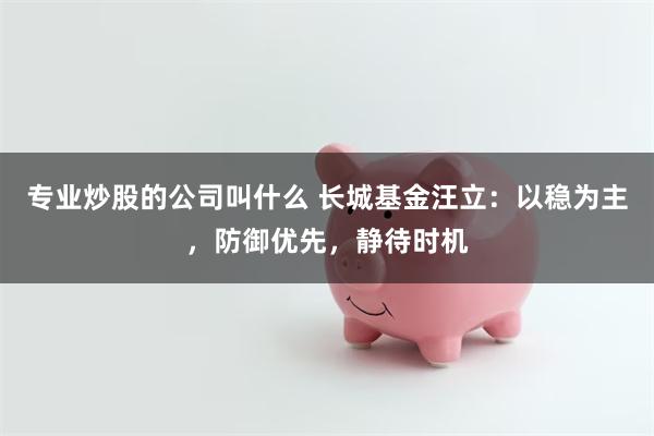 专业炒股的公司叫什么 长城基金汪立：以稳为主，防御优先，静待