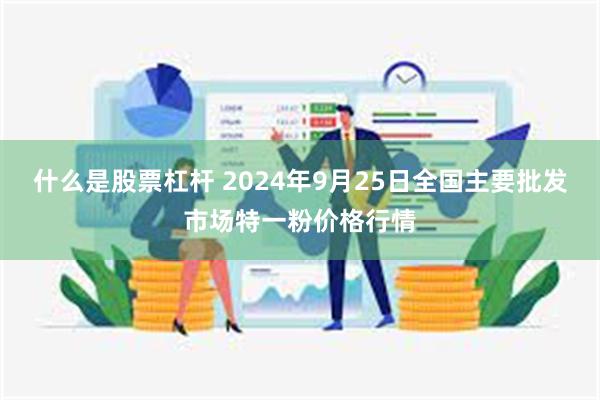 什么是股票杠杆 2024年9月25日全国主要批发市场特一粉价