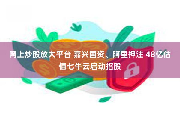 网上炒股放大平台 嘉兴国资、阿里押注 48亿估值七牛云启动招