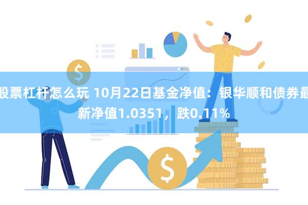 股票杠杆怎么玩 10月22日基金净值：银华顺和债券最新净值1