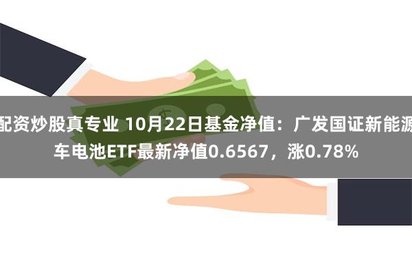 配资炒股真专业 10月22日基金净值：广发国证新能源车电池E