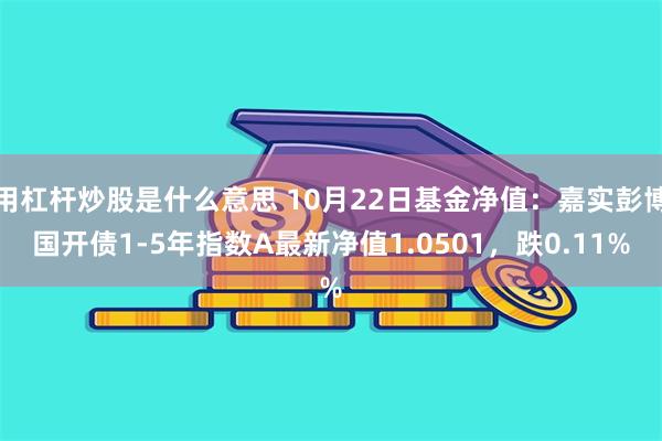 用杠杆炒股是什么意思 10月22日基金净值：嘉实彭博国开债1