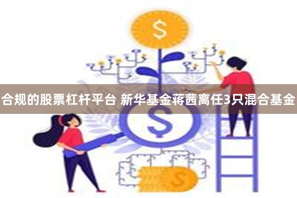 合规的股票杠杆平台 新华基金蒋茜离任3只混合基金