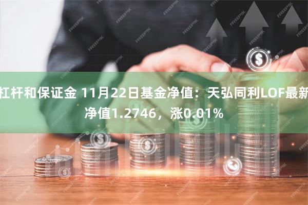 杠杆和保证金 11月22日基金净值：天弘同利LOF最新净值1