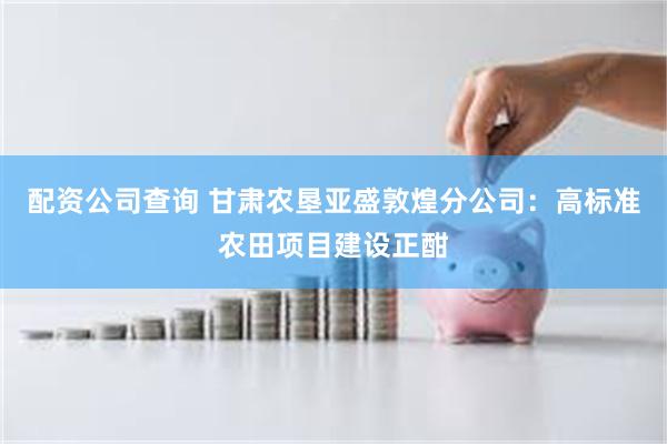 配资公司查询 甘肃农垦亚盛敦煌分公司：高标准农田项目建设正酣