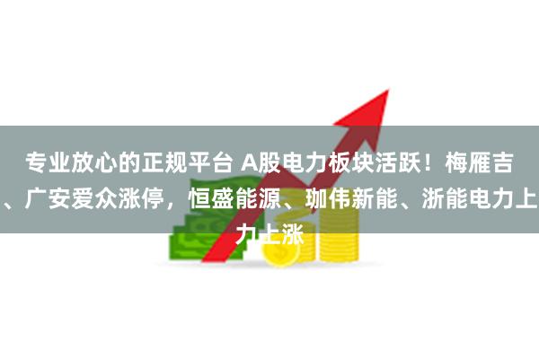 专业放心的正规平台 A股电力板块活跃！梅雁吉祥、广安爱众涨停