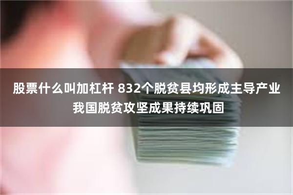 股票什么叫加杠杆 832个脱贫县均形成主导产业 我国脱贫攻坚