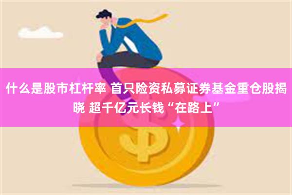 什么是股市杠杆率 首只险资私募证券基金重仓股揭晓 超千亿元长